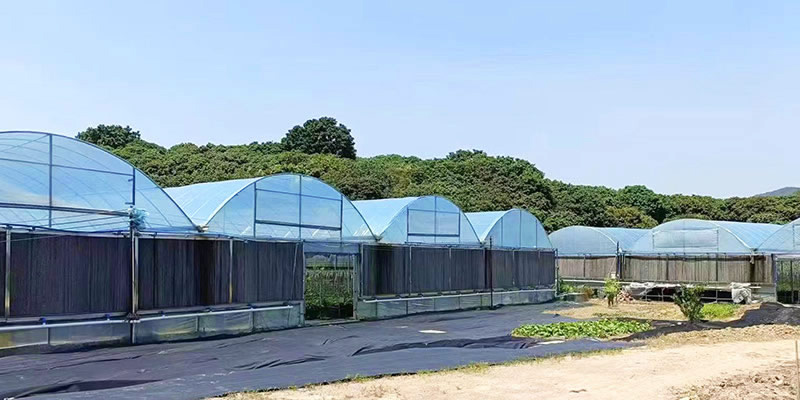 长寿菜种植基地-erp软件开发
