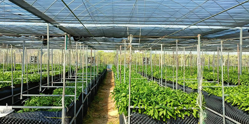 长寿菜种植基地-erp软件开发