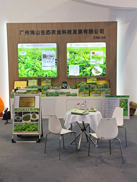 展会现场
