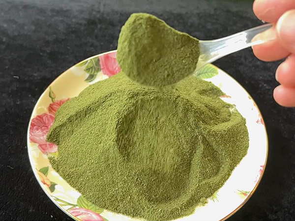 长寿菜干粉