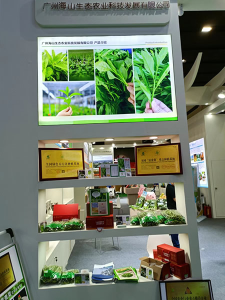展会现场